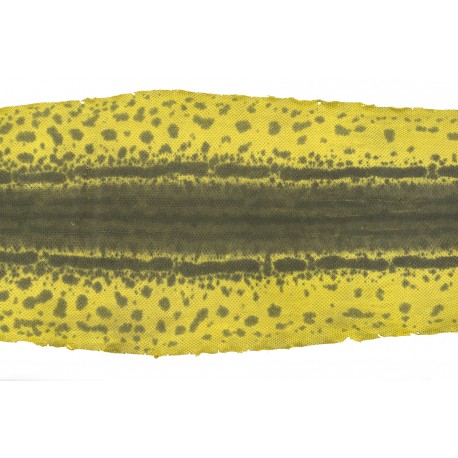 Wąż Karung żółty