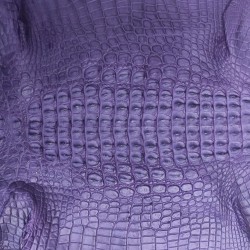 Skóra z grzbietu krokodyla fiolet 30cm
